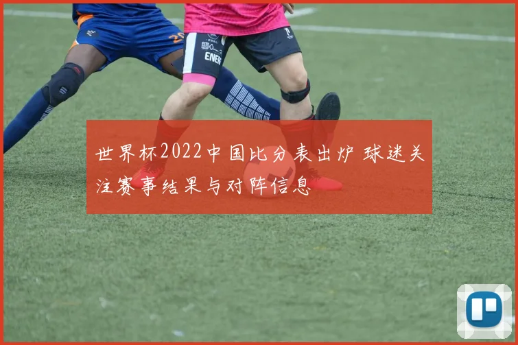 世界杯2022中国比分表出炉 球迷关注赛事结果与对阵信息