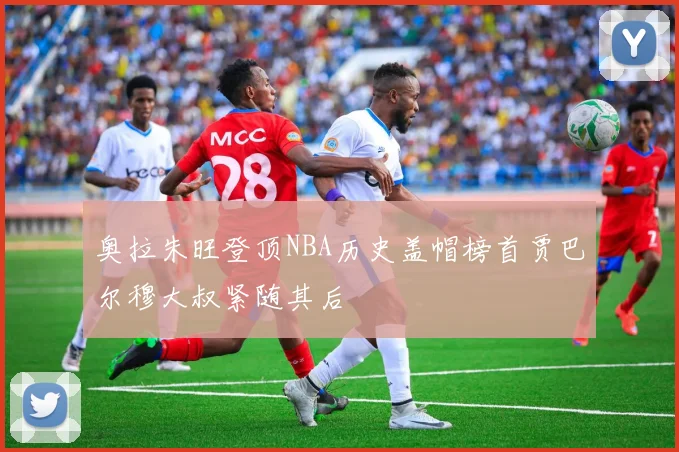 奥拉朱旺登顶NBA历史盖帽榜首贾巴尔穆大叔紧随其后