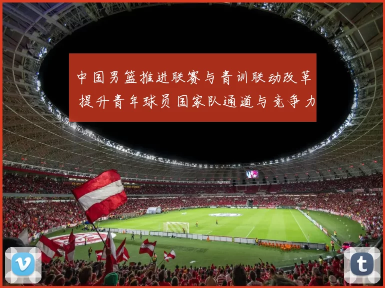 中国男篮推进联赛与青训联动改革 提升青年球员国家队通道与竞争力