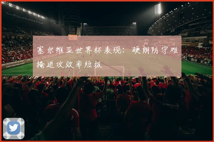 塞尔维亚世界杯表现：硬朗防守难掩进攻效率短板